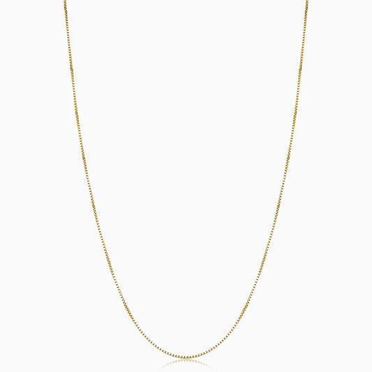 Collier boîte Bodega Doré